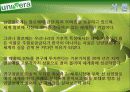 남양알로에의 세계화 3페이지