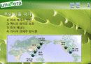 남양알로에의 세계화 12페이지