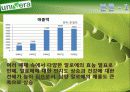 남양알로에의 세계화 18페이지