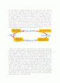 매스컴과 상업성 3페이지