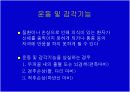 환자평가에 관한 교안 42페이지