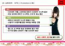 덴마크다이어트 분석 STP SWOT 기타등등 35페이지