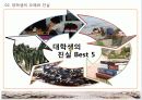 대학생활을 잘하는 방법!! 11페이지