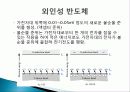반도체 프리젠테이션 19페이지