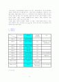 사업계획서 13페이지
