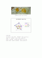 달걀 실험  10페이지