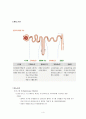 배뇨관리에 관한 reprot 입니다. 4페이지