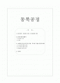 국제관계 분쟁 동북공정 1페이지