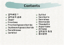 감미료의 종류와 특성 2페이지