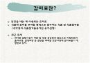감미료의 종류와 특성 3페이지