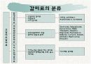 감미료의 종류와 특성 5페이지