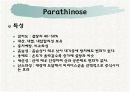 감미료의 종류와 특성 14페이지