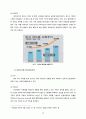SPA브랜드 ZARA 글로벌 경영분석 14페이지