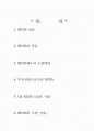 RETIS 정의및 도입배경 1페이지
