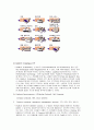 Fedex 분석 17페이지