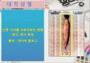 변형광고의 유형 11페이지