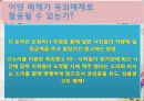 변형광고의 유형 31페이지