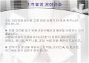 Lukemia 백혈병 주제발표 피피티  25페이지