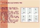 동맥경화의 원리 및 항동맥경화치료 17페이지