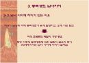 동맥경화의 원리 및 항동맥경화치료 22페이지