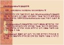 동맥경화의 원리 및 항동맥경화치료 58페이지