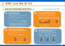 세계의 LCC(Low Cost Carrier)완벅 분석 21페이지