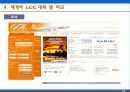 세계의 LCC(Low Cost Carrier)완벅 분석 22페이지