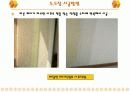 도장(paint)종류 및 시공방법 15페이지