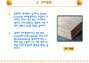 합판의 종류 5페이지