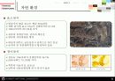 판교 신도시 6페이지