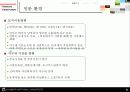 판교 신도시 8페이지