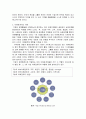 CSR(Corporate Social Responsibility) 4페이지