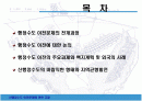 [행정학]신행정수도 이전의 주요과제와 백지계획 및 외국의 사례 2페이지