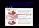 [정치커뮤니케이션A+] 이미지정치 정의와 역사 및 사례분석 25페이지