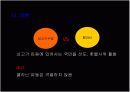 [정치커뮤니케이션A+] 이미지정치 정의와 역사 및 사례분석 45페이지