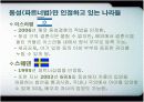 [여성학A+] 세계동성애자 현황과 우리나라 동성애 문화 분석  11페이지