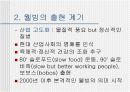 [외식문화, 웰빙문화A+] 세계각국의 지역적 특징과 대표적인 식문화 4페이지