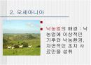 [외식문화, 웰빙문화A+] 세계각국의 지역적 특징과 대표적인 식문화 9페이지