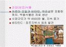[외식문화, 웰빙문화A+] 세계각국의 지역적 특징과 대표적인 식문화 20페이지