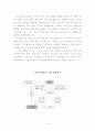 [경제학A+] 일본 근대 경제연구 보고서 14페이지