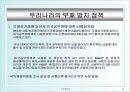 [국제통상] 기술라운드와 부패라운드 분석  22페이지