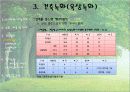 건축녹화+단지녹화 7페이지