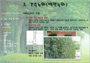 건축녹화+단지녹화 14페이지