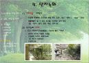 건축녹화+단지녹화 21페이지