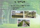 건축녹화+단지녹화 22페이지