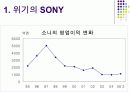 SONY(소니)의 해외진출사례분석 25페이지