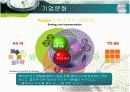 애플(APPLE) 경영분석 13페이지