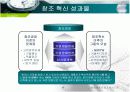 애플(APPLE) 경영분석 16페이지