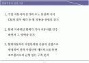 현대자동차 BCG 매트릭스 분석 3페이지