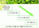 [홍보/마케팅A+] 농약녹차 파동으로 인한 태평양 설록차의 신뢰도 향상을 위한 홍보마케팅전략 분석 5페이지